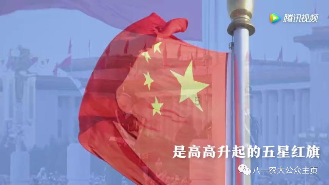 系带夏装